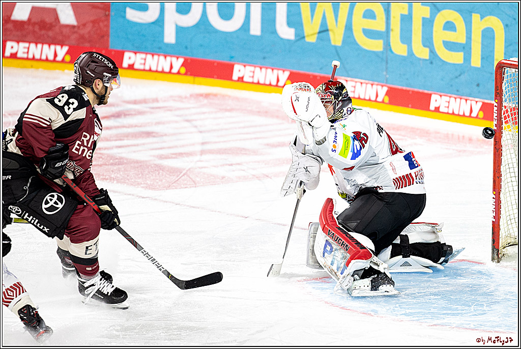 PENNY DEL;  Koelner Haie - Fischtown Pinguins Bremerhaven; Koeln, 12.02.2021